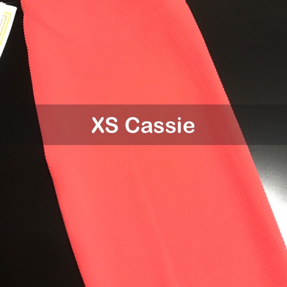 XS BNWT LuLaRoe Cassie Skirt